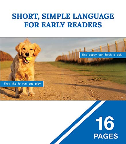Top Puppies: Golden Retriever PuppiesChildren's Book About Golden Retrievers, Preschool-Grade 2 (16 pgs)