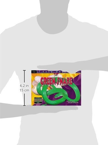 Green Snake (Life Cycles)
