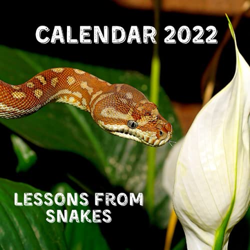 Lessons From Snakes Calendar 2022: September 2021 - December 2022 Monthly Planner Mini Calendar With Inspirational Quotes