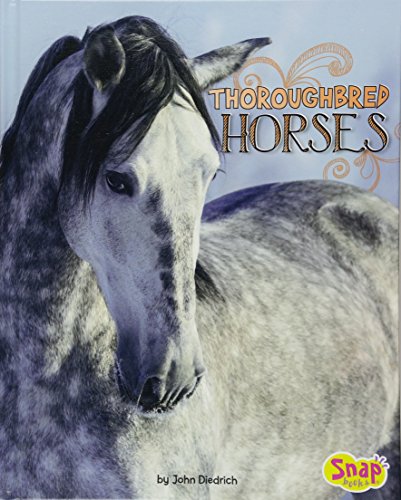 Thoroughbred Horses (Horse Breeds)