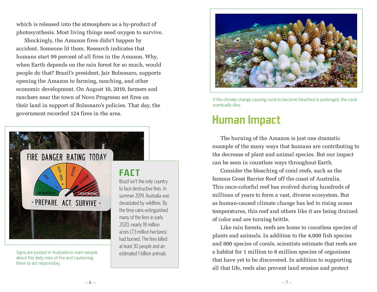 Brink of Extinction: Can We Stop Nature's Decline? (Informed!)