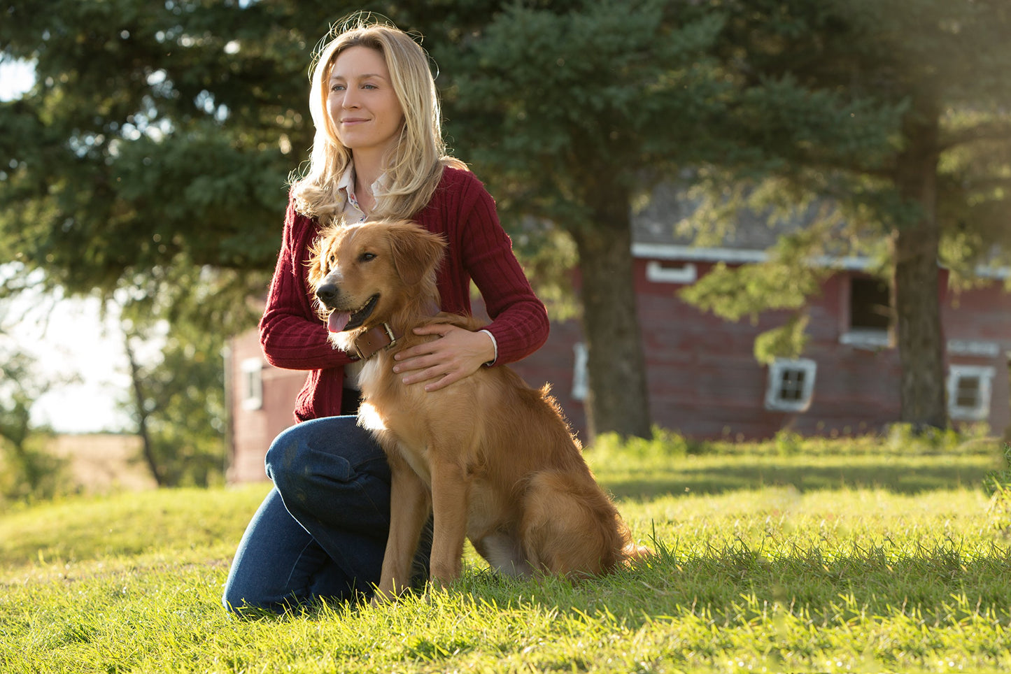 A Dog's Purpose [DVD]