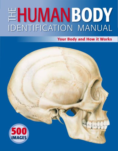 The Human Body Identification Manual: Your Body and How It Works