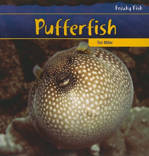 Pufferfish (Freaky Fish) - 4571