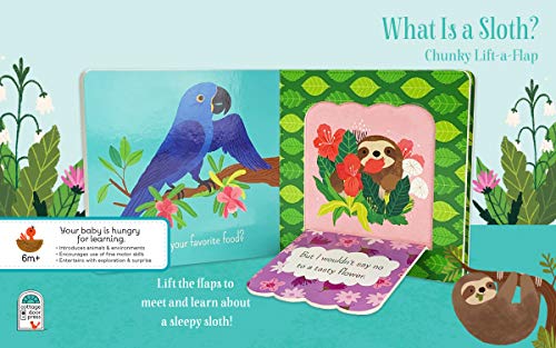 What is a Sloth? (Chunky Lift-a-Flap Board Book)