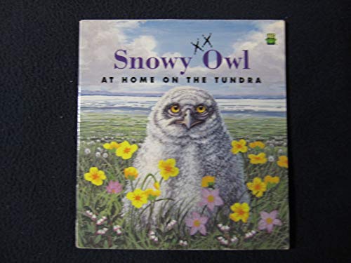 Snowy owl: At home on the tundra