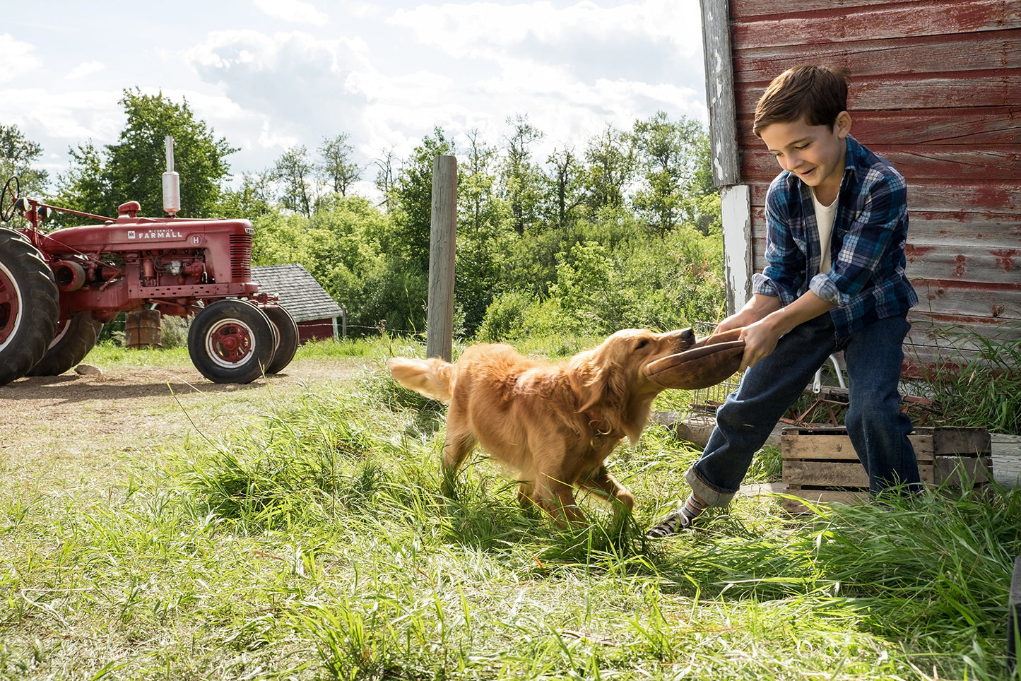A Dog's Purpose [DVD]