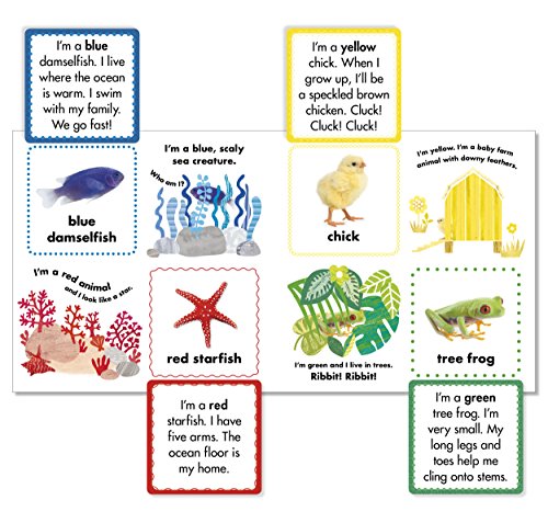Animal Colors