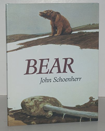 Bear