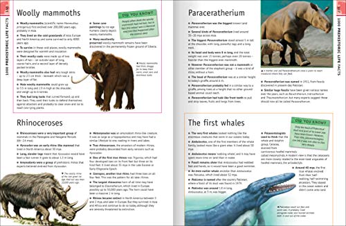 6000 Awesome Facts