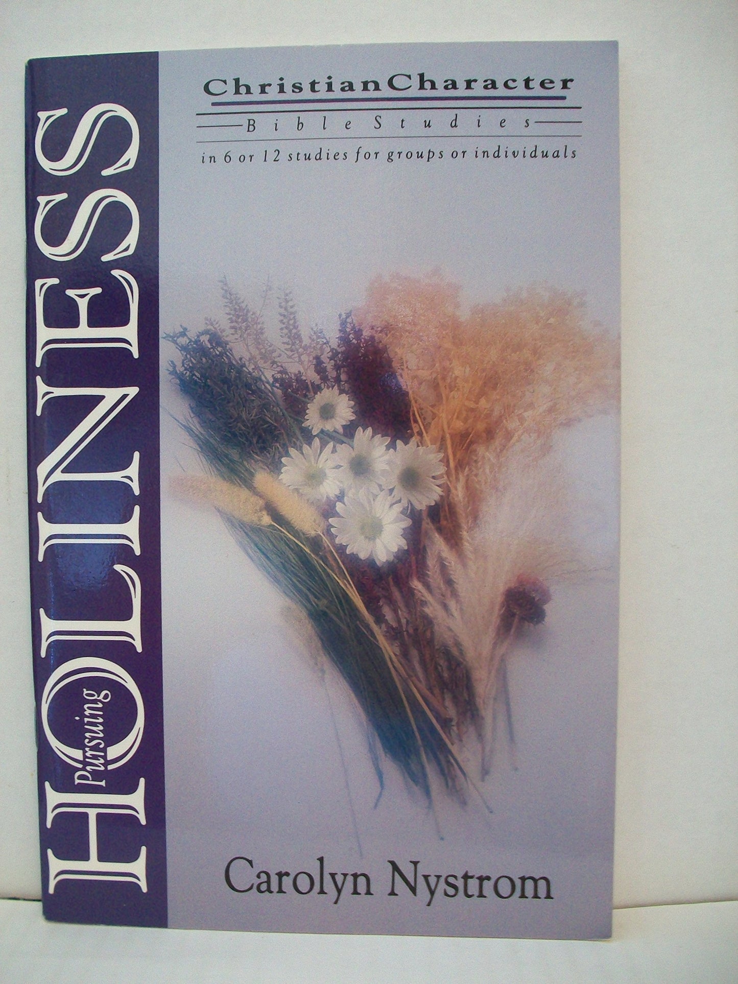 Pursuing Holiness (Christian Character Bible Studies)