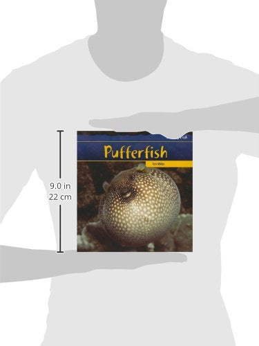 Pufferfish (Freaky Fish) - 4571