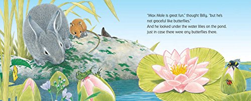 Billy Bunny and the Butterflies (Friendship Tales)