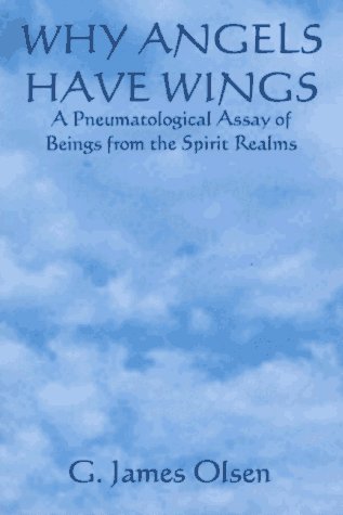 Why Angels Have Wings : A Pneumatological Assay of Beings of the Spirit Realms