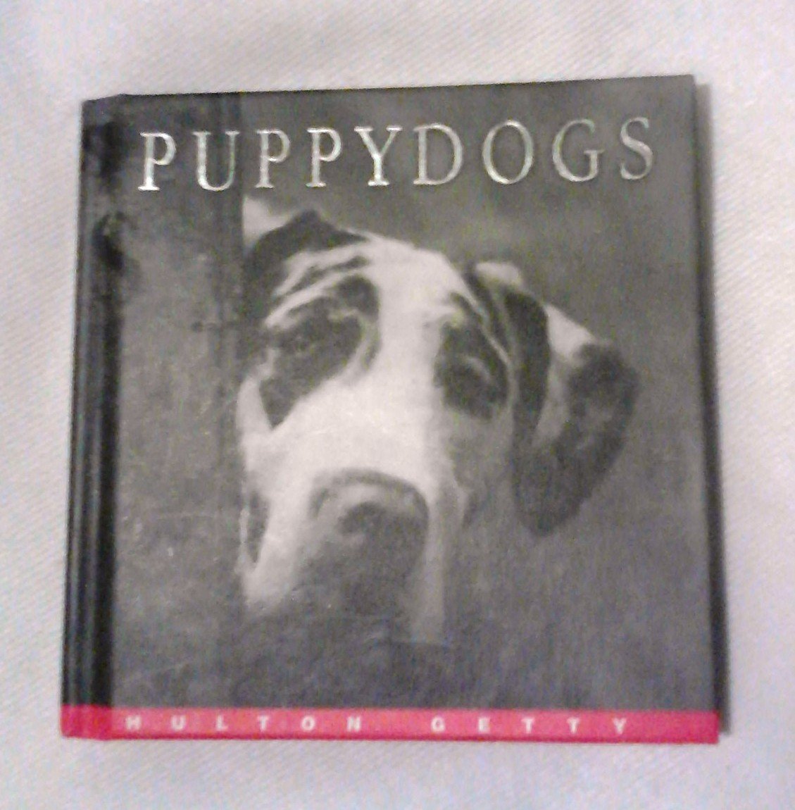 Puppy Dogs