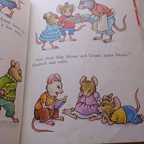 Good Night, Aunt Lilly (Little Golden Book)