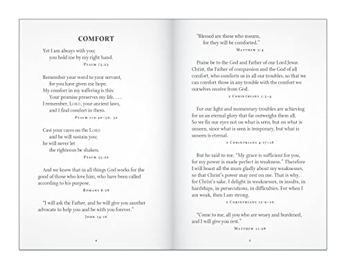 God's Promises for Graduates: Class of 2023 - Black NIV: New International Version
