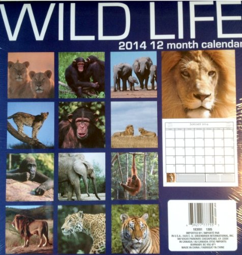 2014 Wild Life 12 Month Wall Calendar Bonus:large Size Christmas Glitter Gift Bag & Beaded Leg Santa Ornament