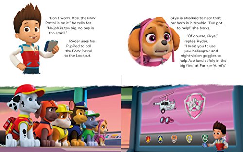 Nickelodeon PAW Patrol Skye-High Rescue
