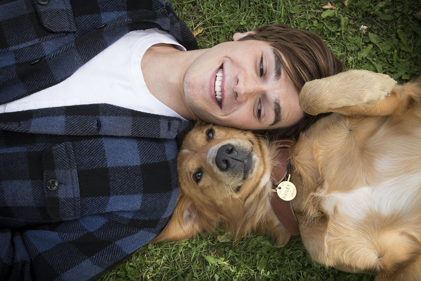 A Dog's Purpose [DVD]
