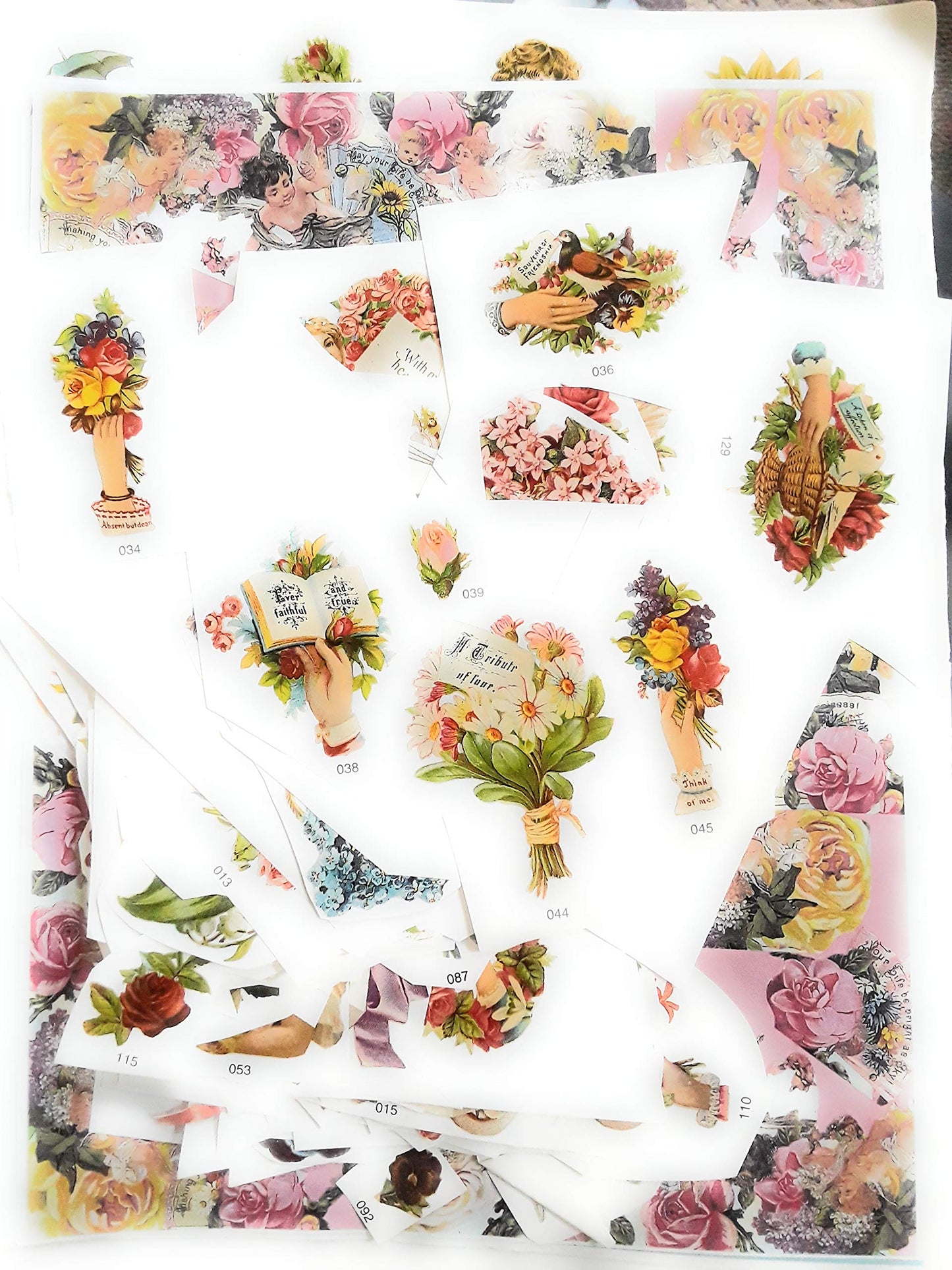 Full-Color Floral Vignettes CD-ROM and Book