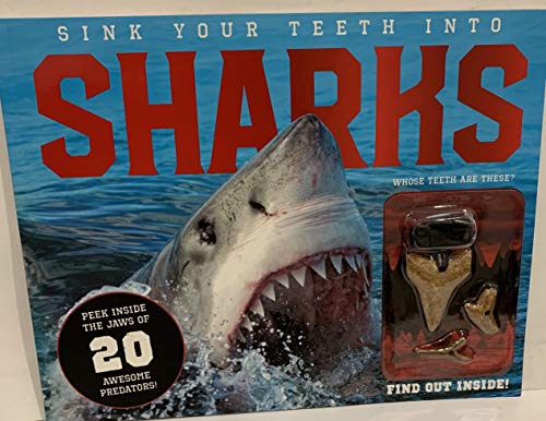 Sink Your Teeth Into Sharks: Peek Inside the Jaws of 20 Awesome Predators