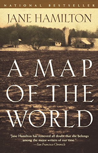 A MAP OF THE WORLD: A NOVEL (OPR