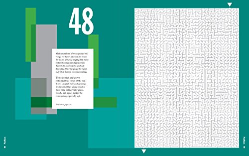 PictoMazes: Find 72 Hidden Animals! - 4677