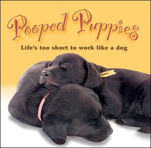 Pooped Puppies Book