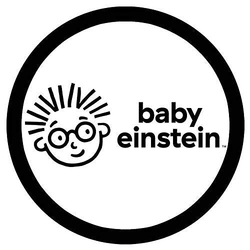 Baby Einstein Circles and Squares Lift a Flap Board Book (Chunky Lift-a-Flap)