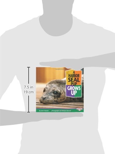 A Harbor Seal Pup Grows Up (Baby Animals)