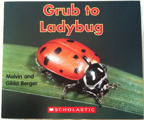 Grub to Ladybug