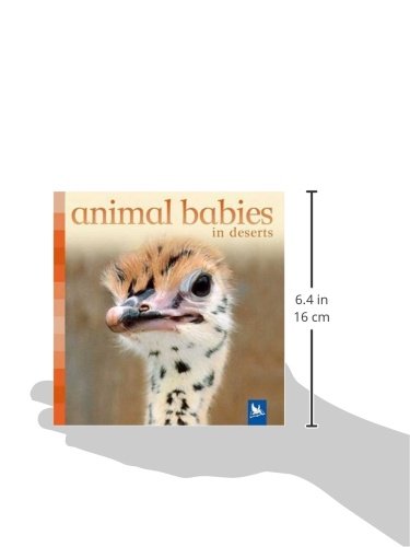 Animal Babies in Deserts