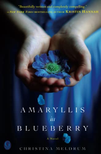 Amaryllis in Blueberry