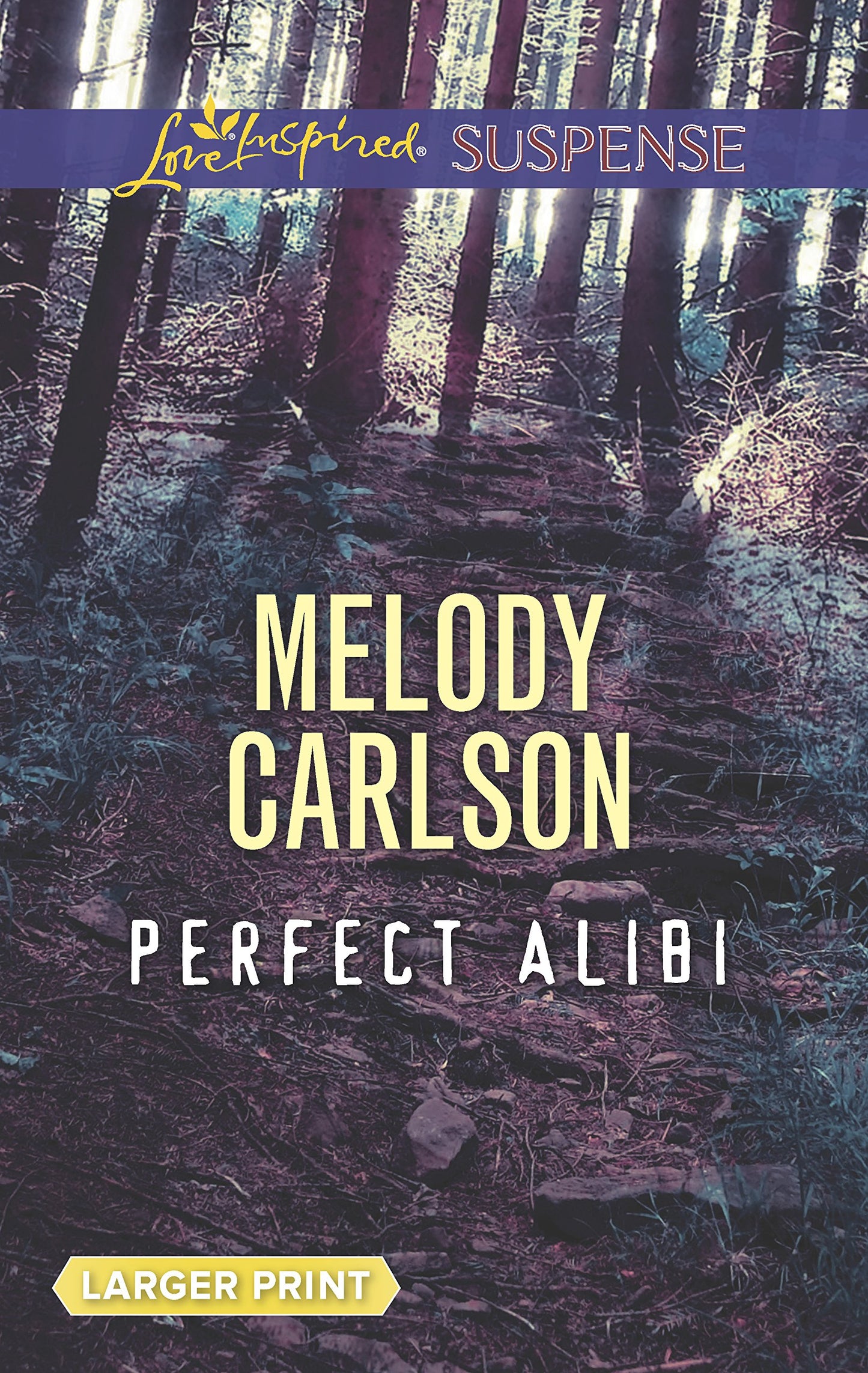 Perfect Alibi (Love Inspired Suspense)