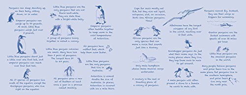 Periwinkle's Journey