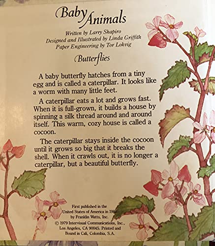 Baby Animals