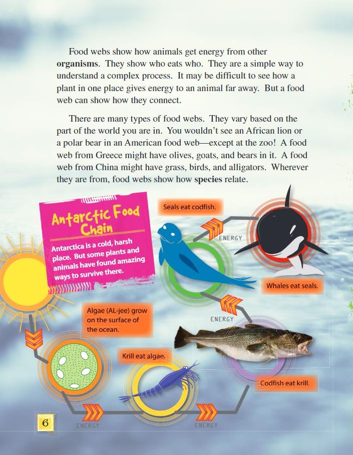 Teacher Created Materials - Science Readers: Content and Literacy: Food Webs - Grade 3 - Guided Reading Level P