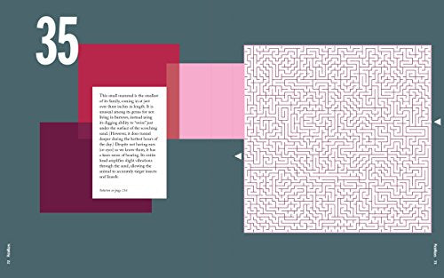 PictoMazes: Find 72 Hidden Animals! - 4677