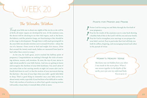 Waiting in Wonder: Growing in Faith While You're Expecting