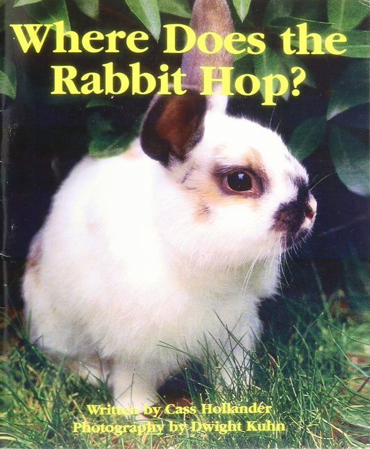 Where Does the Rabbit Hop
