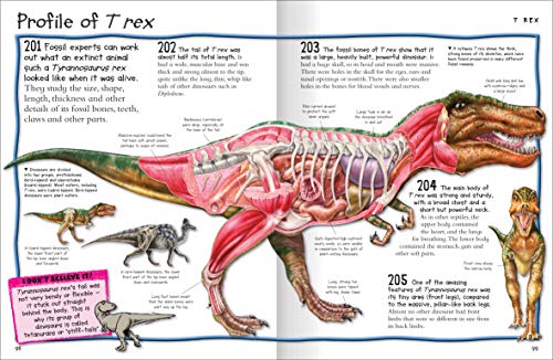 Fantastic Animal Facts
