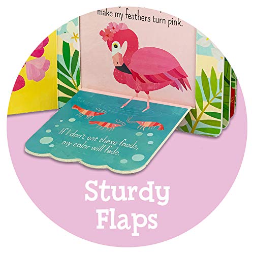 Baby Einstein Circles and Squares Lift a Flap Board Book (Chunky Lift-a-Flap)