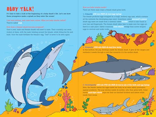 100 Questions About... Sharks