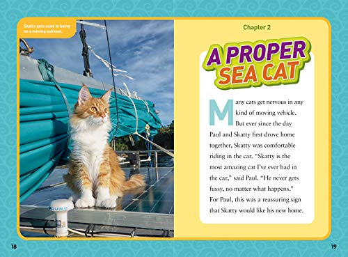 National Geographic Kids Chapters: Adventure Cat! (NGK Chapters) - 4522