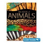 Big Book of Animals