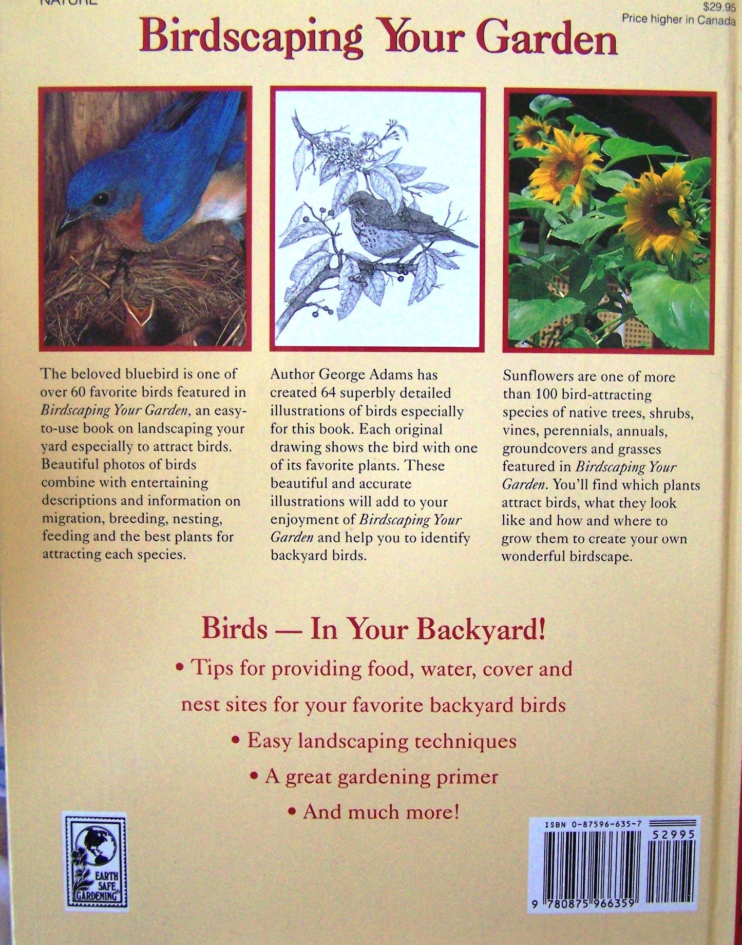 Birdscaping Your Garden: A Practical Guide to Backyard Birds and the Plants That Attract Them