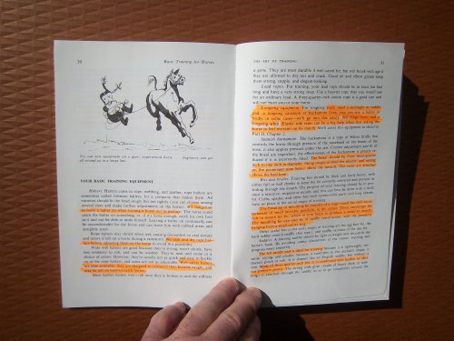 Basic Training for Horses (Doubleday Equestrian Library)