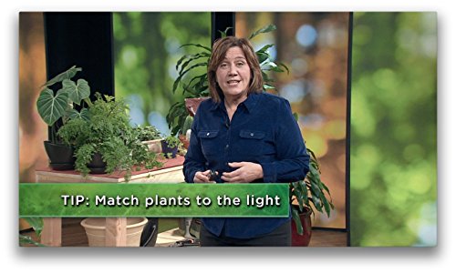 How to Grow Anything: Your Best Garden and Landscape in 6 Lessons