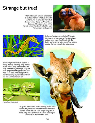 Creatures Great and Small
